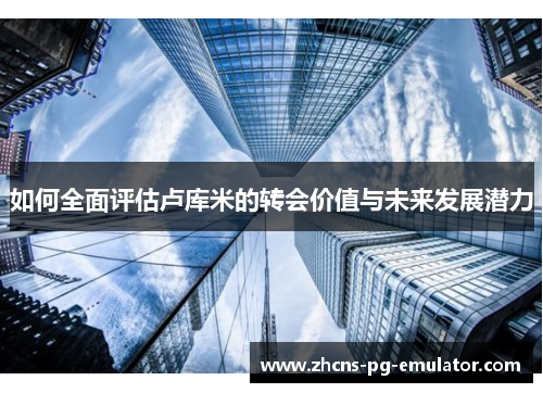 如何全面评估卢库米的转会价值与未来发展潜力