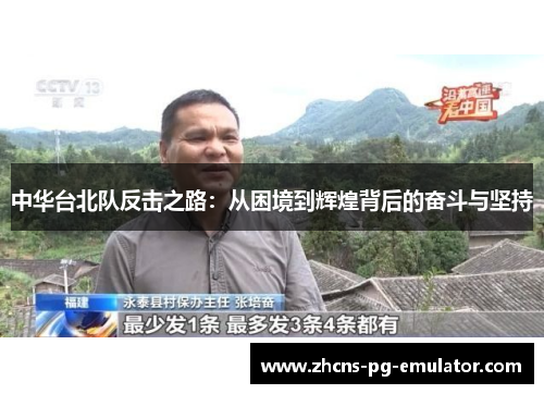 中华台北队反击之路：从困境到辉煌背后的奋斗与坚持