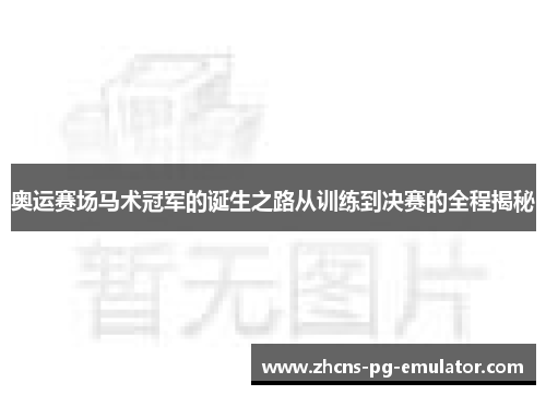 奥运赛场马术冠军的诞生之路从训练到决赛的全程揭秘