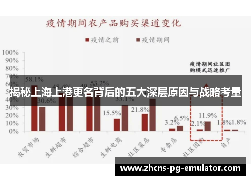 揭秘上海上港更名背后的五大深层原因与战略考量