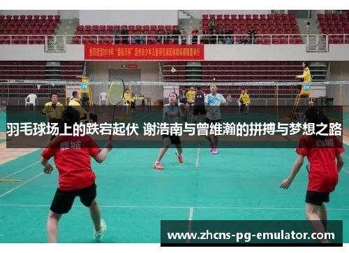 羽毛球场上的跌宕起伏 谢浩南与曾维瀚的拼搏与梦想之路