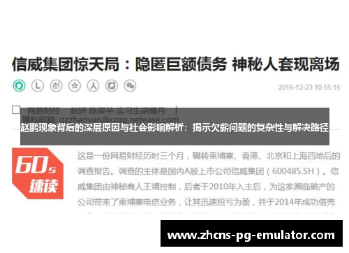 赵鹏现象背后的深层原因与社会影响解析：揭示欠薪问题的复杂性与解决路径