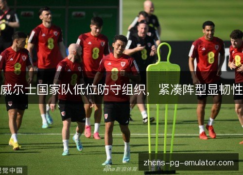 威尔士国家队低位防守组织,紧凑阵型显韧性 威尔士国家队低位防守组织,紧凑阵型显韧性